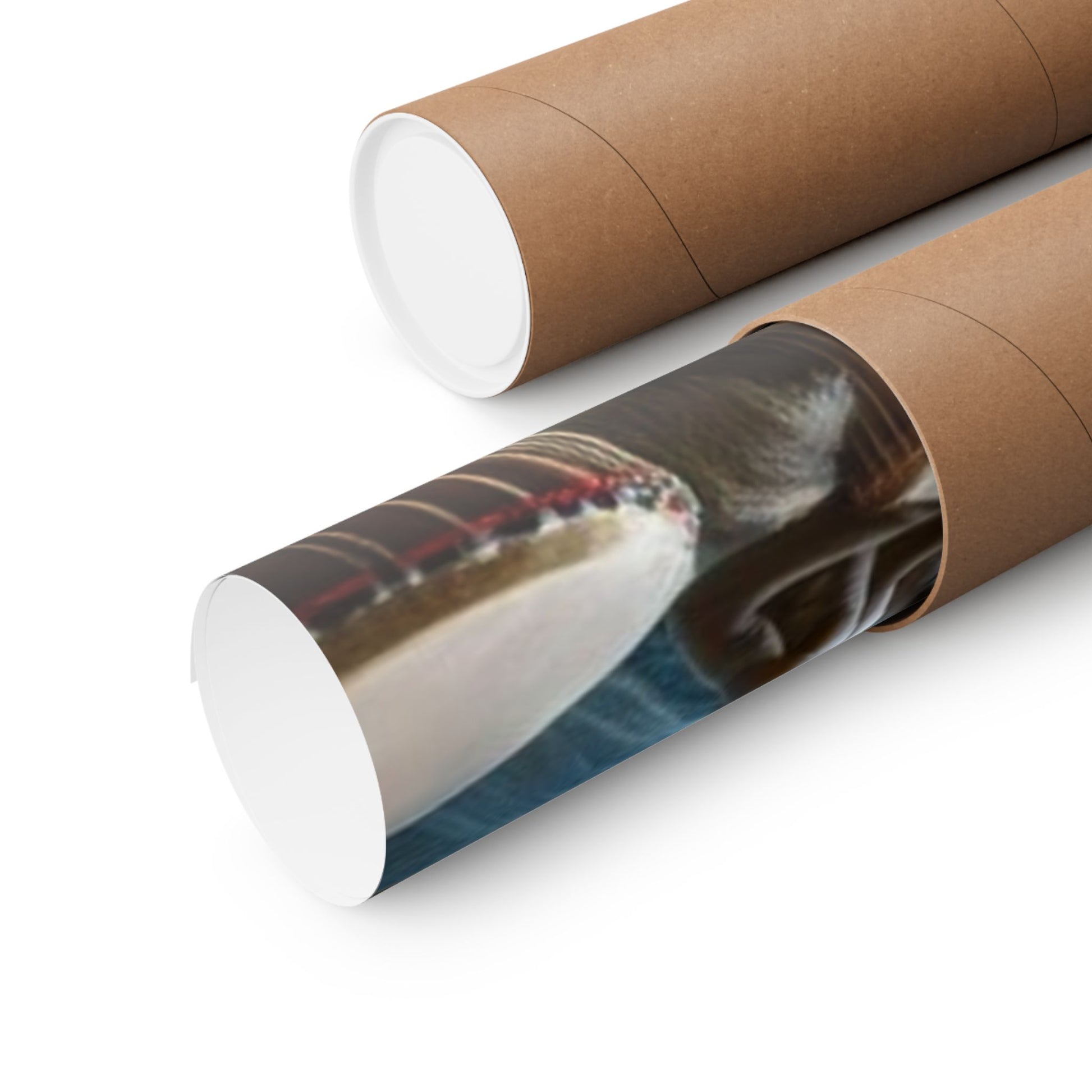 The Rebirth Poster securely rolled in a protective mailing tube for safe shipping and damage-free delivery.