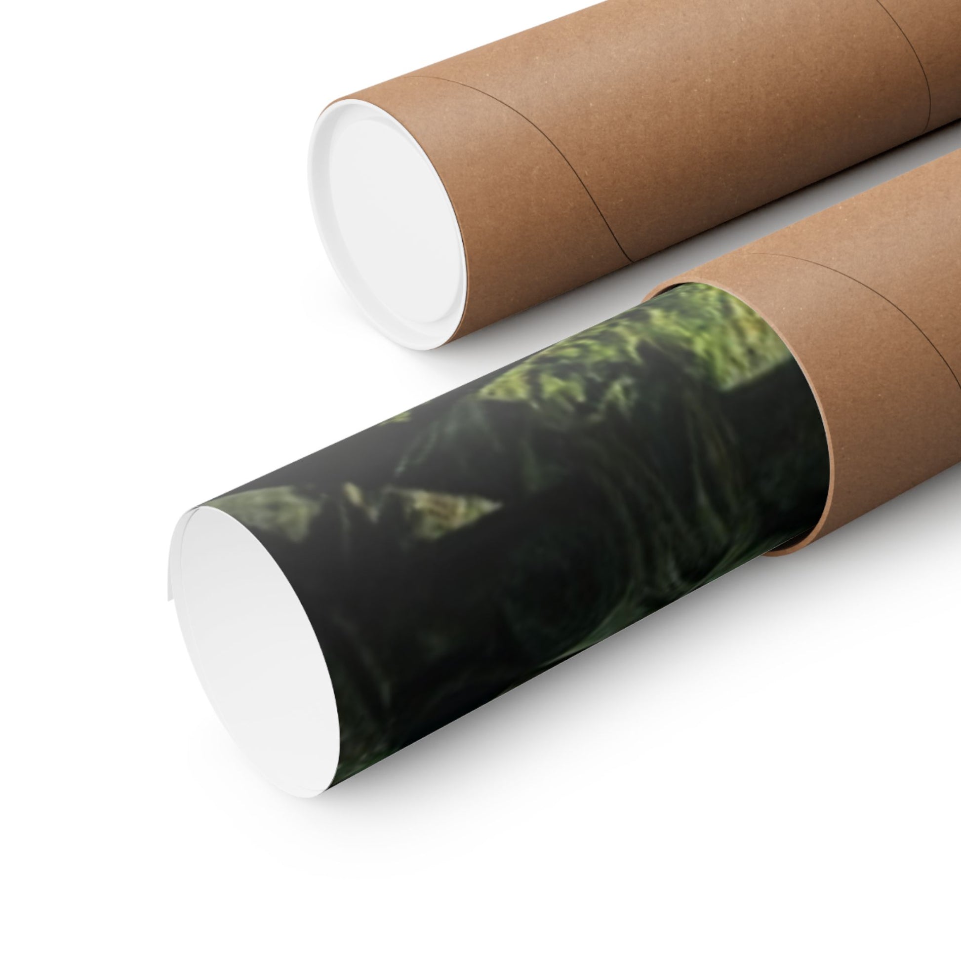Samurais' Clash Poster securely rolled in a protective mailing tube for safe shipping and damage-free delivery.