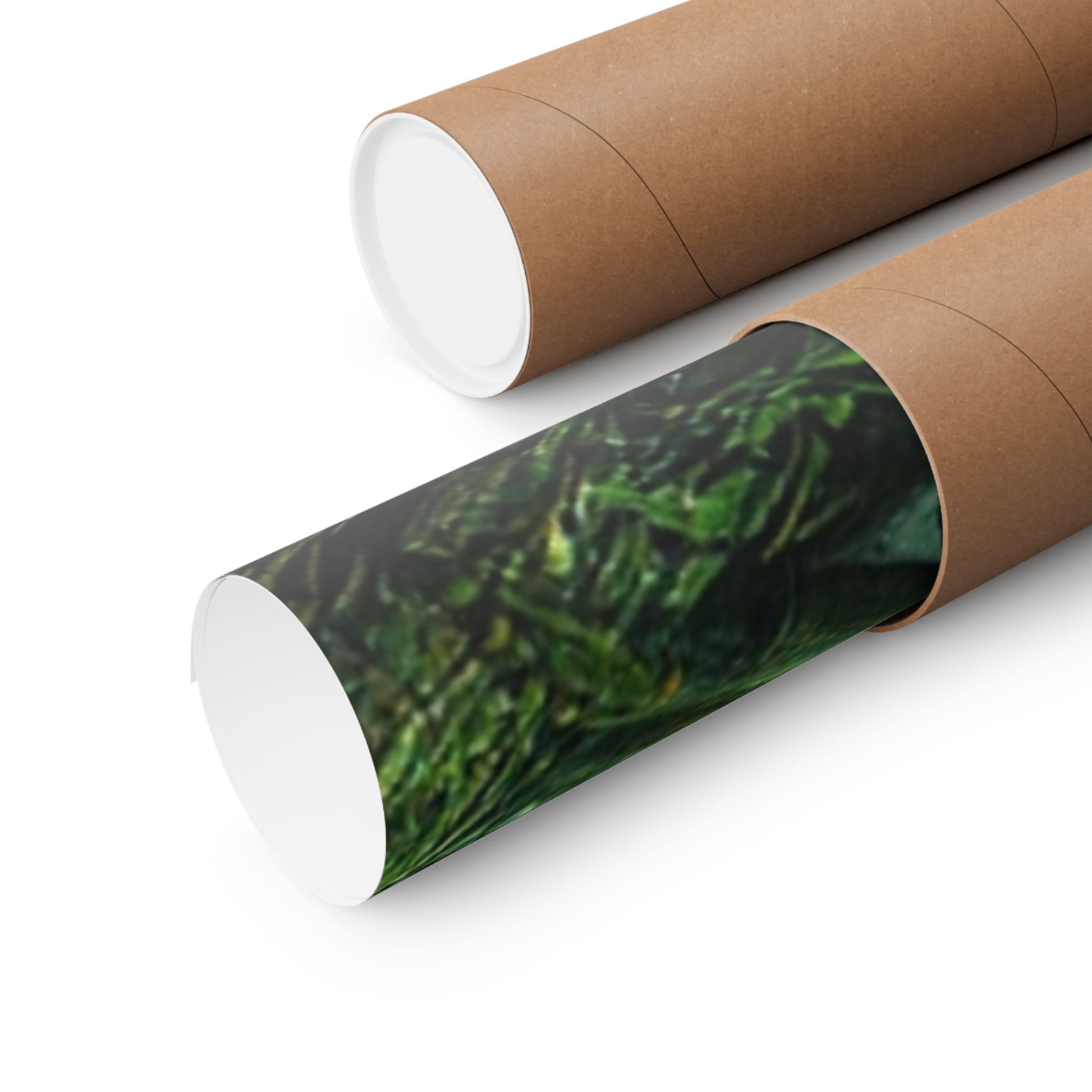 Samurai’s Rage Poster securely rolled in a protective mailing tube for safe shipping and damage-free delivery.