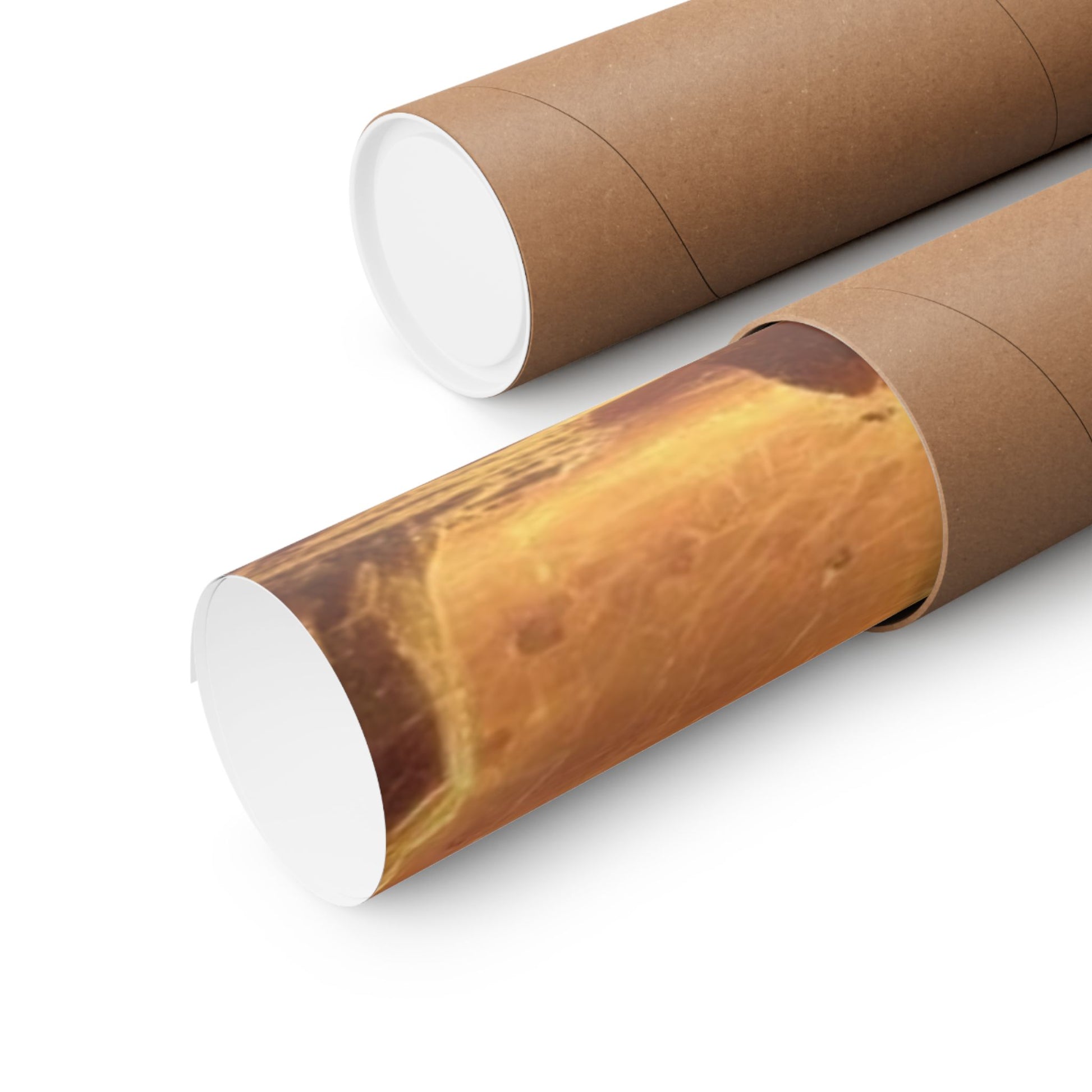 The Divine One Poster securely rolled in a protective mailing tube for safe and damage-free shipping.