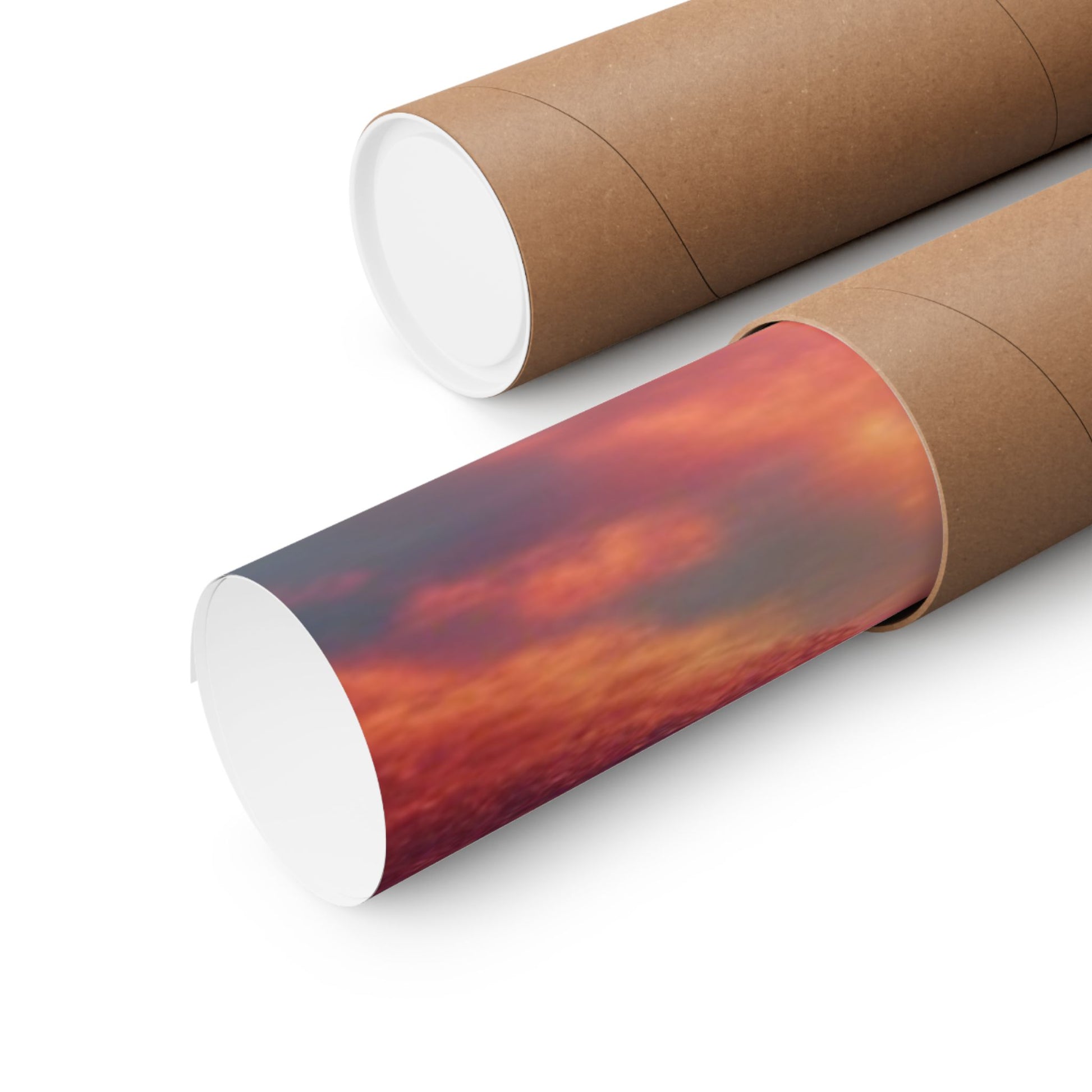The Lone Lion Majesty Poster securely rolled in a protective mailing tube for safe shipping and delivery.